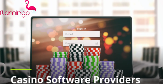 Internet Casino Software: Online Gaming